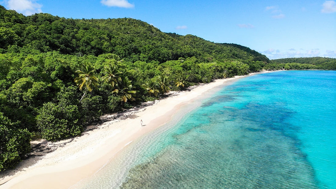 Que faire en Guadeloupe ? Top 10 des activités incontournables en 2026