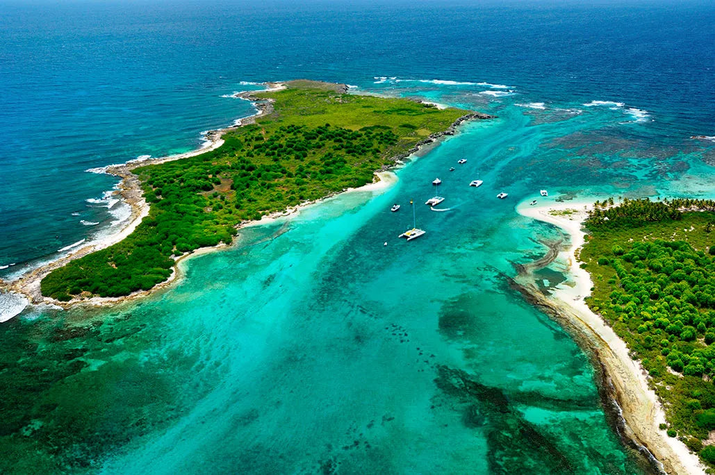 Quand partir en Guadeloupe ? Guide météo complet mois par mois