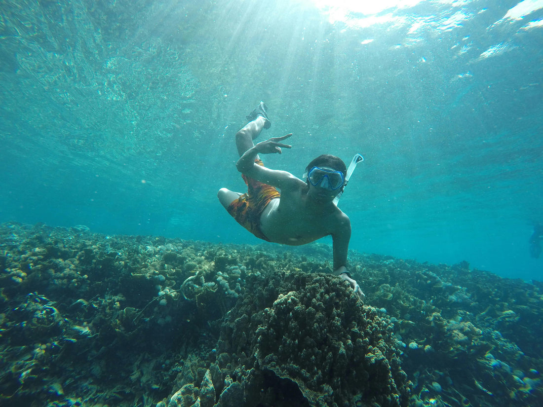 Snorkeling en Guadeloupe : découvrez les plus beaux fonds marins avec Alloboat