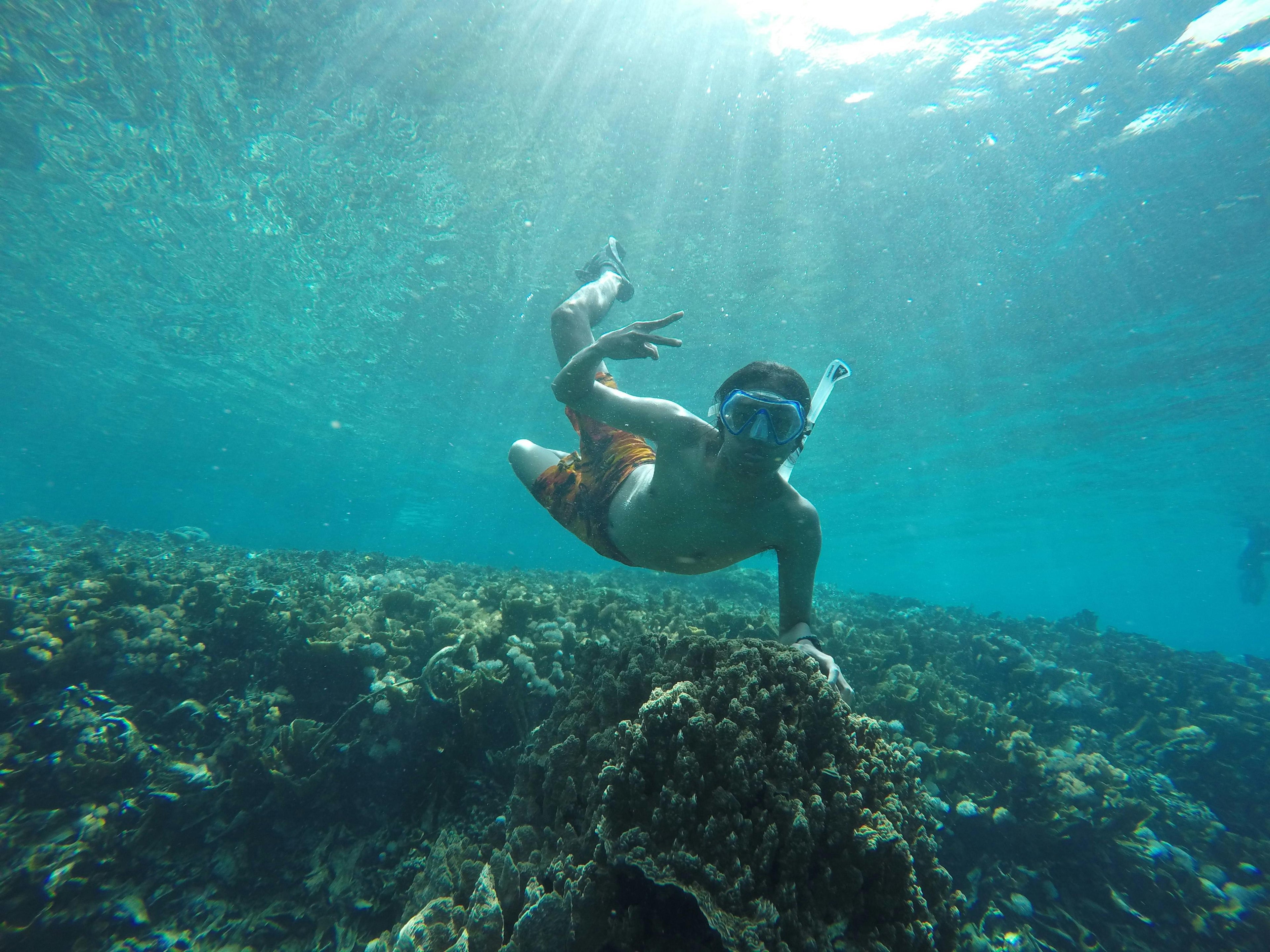 Snorkeling en Guadeloupe : découvrez les plus beaux fonds marins avec Alloboat